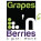 Grapes n Berries Logo